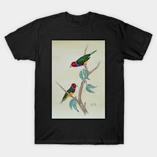 Australian Gouldian Finches art T-Shirt